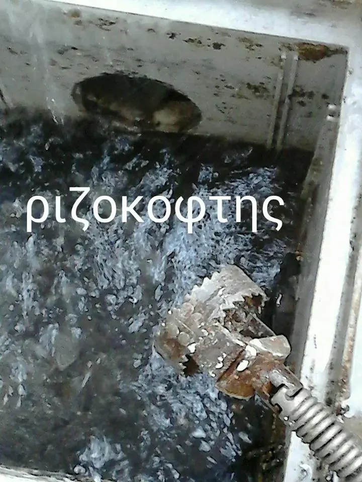 Ριζοκόφτης μέσα σε φρεάτιο αποχέτευσης